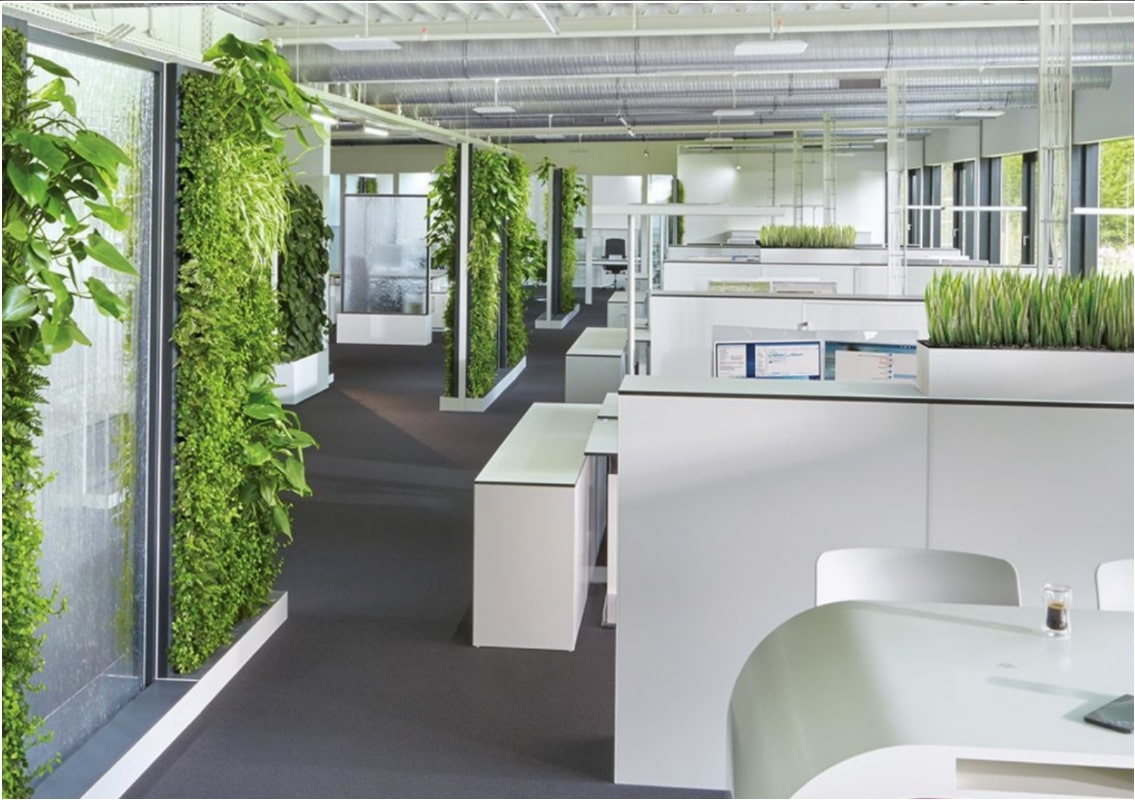 «Зеленый» офис — новая философия рабочего пространства