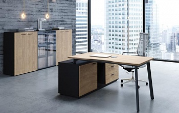Мебель для кабинета руководителя "Flex"
